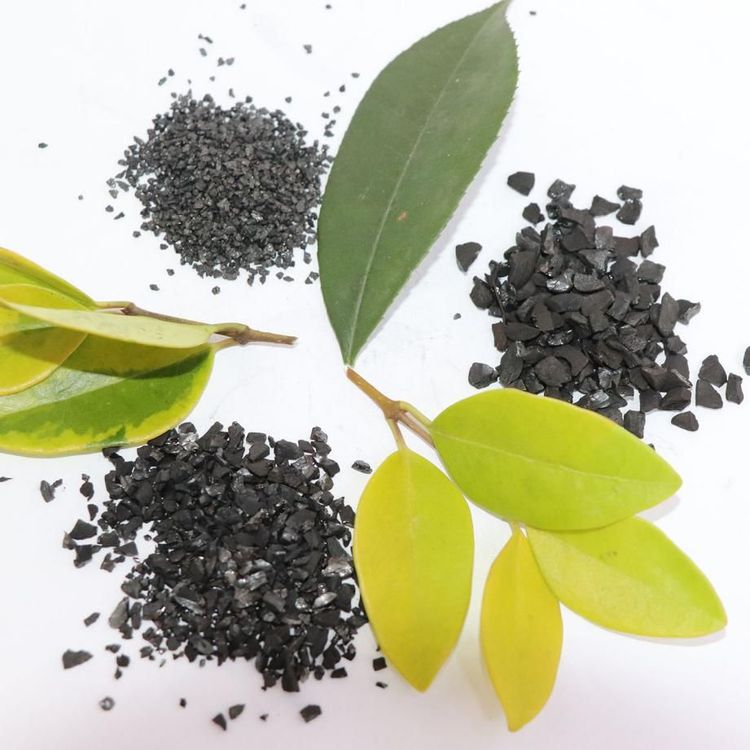 Activated charcoal – An eco-friendly alternative for our environment?