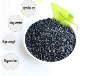 Activated Carbon in Fruit Shells